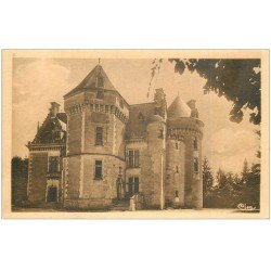 carte postale ancienne 41 CHATEAU DE PUYCHENIE