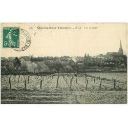 carte postale ancienne 41 CHAUMONT-SUR-THARONNE. Village et Vignes 1911