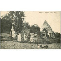 carte postale ancienne 41 CHOUE. Ruines de Gueriteau