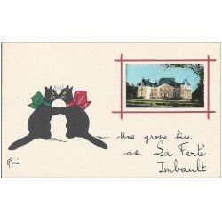 carte postale ancienne 41 LA FERTE-IMBAULT. Chats par René et mini-photo du Château