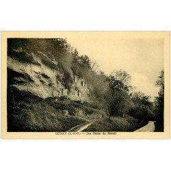 carte postale ancienne 41 LUNAY. Caves du Breuil