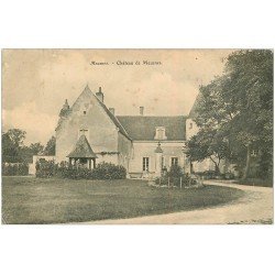 carte postale ancienne 41 MEUSNES. Château