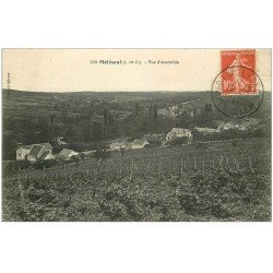 carte postale ancienne 41 MOLINEUF. Vue et Vignes 1914