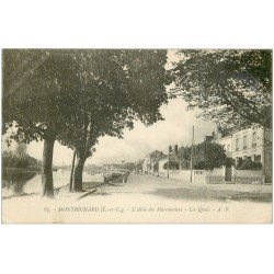 carte postale ancienne 41 MONTRICHARD. Quais Allée des Marronniers 1924