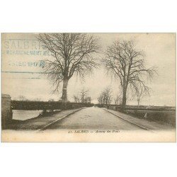 carte postale ancienne 41 SALBRIS. Avenue des Ponts 1917