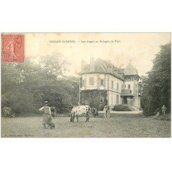 carte postale ancienne 41 SELLES-SAINT-DENIS. Le Parc 1906 Les Anges en Sologne