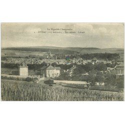 carte postale ancienne 51 AVENAY. Vins et Cuture 1918