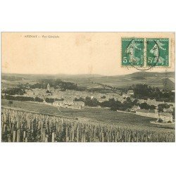 carte postale ancienne 51 AVENAY. Vue 1910