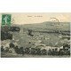 carte postale ancienne 51 AVENAY. Vue du Village 1910