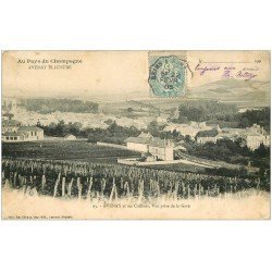 carte postale ancienne 51 AVENAY. Vue prise de la Gare 1905. Vignes