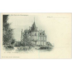 carte postale ancienne 51 AVIZE. Le Château 18