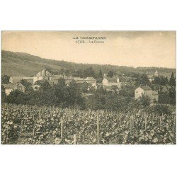 carte postale ancienne 51 AVIZE. Les Coteaux. Vignes et raisins