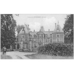 carte postale ancienne 51 CHATEAU DE BUSSEMONT animation