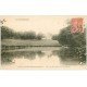 carte postale ancienne 51 CHATEAU DE SAINT-MARTIN-D'ABLOIS. Cygnes sur Pièce d'Eau 1907