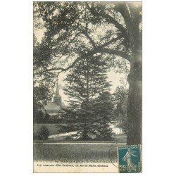 carte postale ancienne 51 CONGY. Le Château 1920