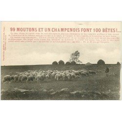 carte postale ancienne 51 EN CHAMPAGNE. 99 Moutons et un Champenois... 1923