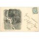 carte postale ancienne 09 AULUS. Grande Cascade d'Ars 1905