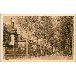 carte postale ancienne 51 FERE-CHAMPENOISE. Avenue de la Gare