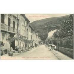 carte postale ancienne 09 AX-LES-THERMES. Avenue d'Espagne