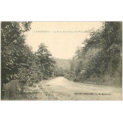 carte postale ancienne 51 L'ARGONNE. La Côte de l'Etang de Florent 1915