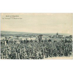 carte postale ancienne 51 LE MESNIL-SUR-OGER. Les Vendanges. Vignes et Vignobles Moët et Chandon Champagne