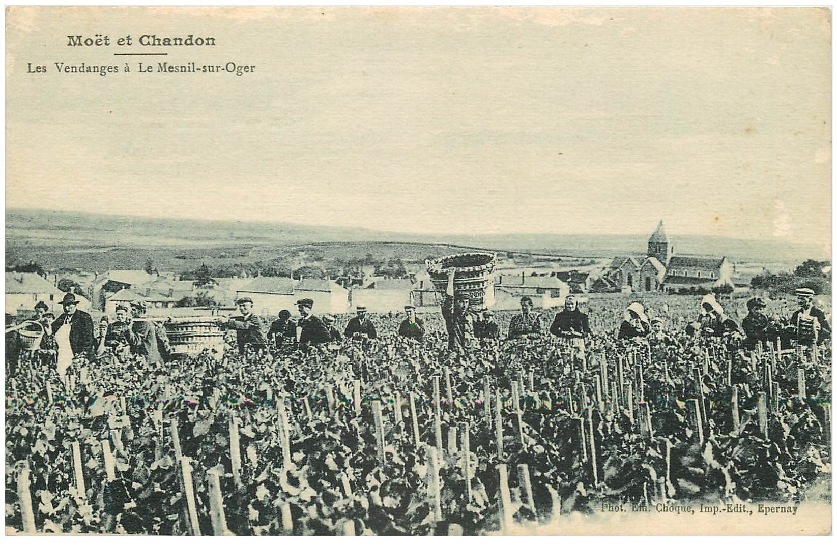 carte postale ancienne 51 LE MESNIL-SUR-OGER. Les Vendanges. Vignes et Vignobles Moët et Chandon Champagne