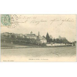 carte postale ancienne 02 CELLES-SUR-AISNE. Le Panorama 1906