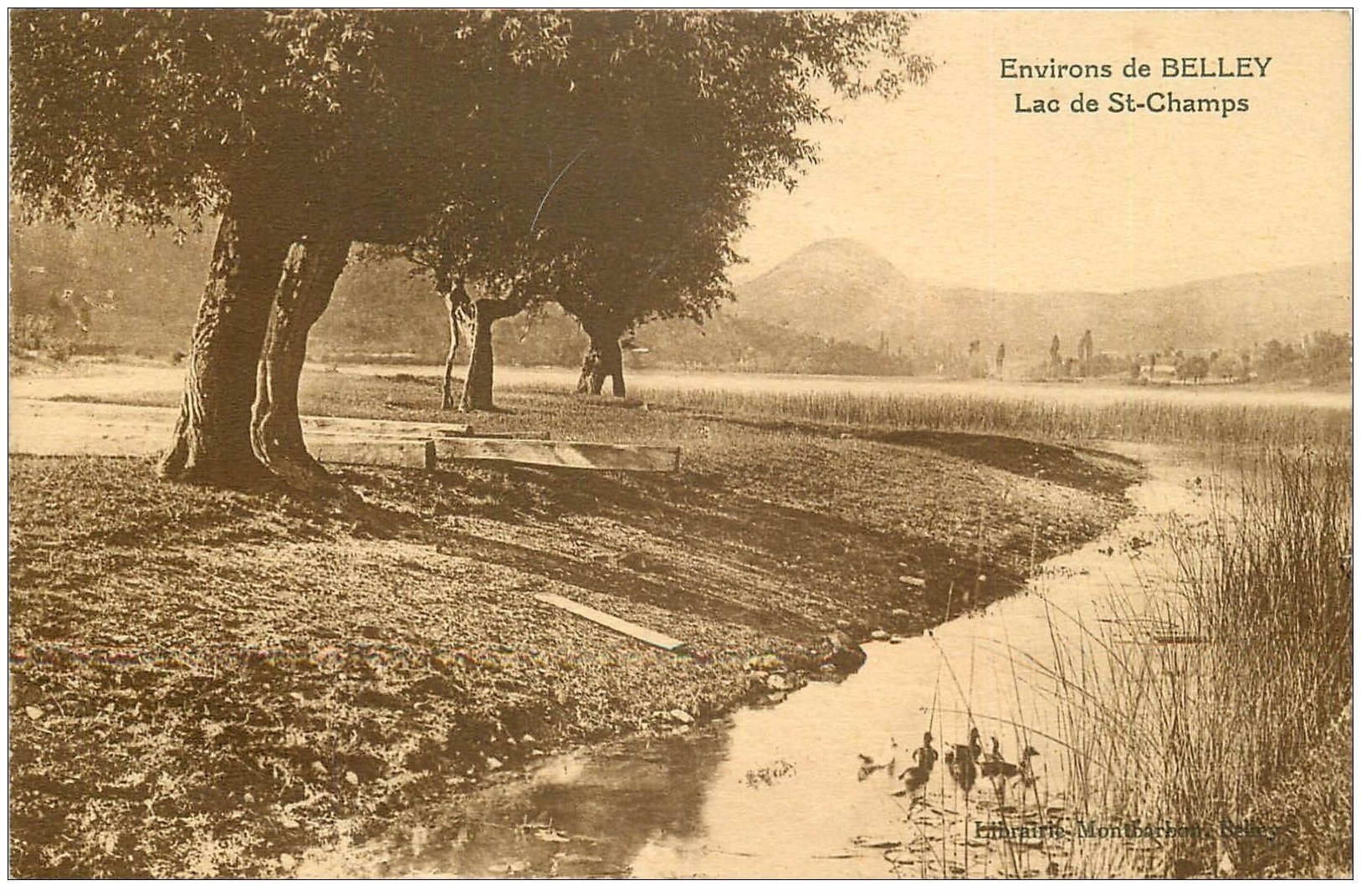 carte postale ancienne 01 Belley environs. Lac de Saint-Champs