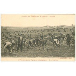 carte postale ancienne 51 REIMS. Le provinage Travail de la Vigne en Champagne. Pommery et Greno