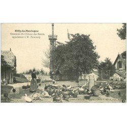 carte postale ancienne 51 RILLY-LA-MONTAGNE. La Ferme Communs Château des Rozais à Pommery 1905
