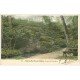 carte postale ancienne 51 SAINT-MARTIN-D'ABLOIS. Source du Sourdon 1905