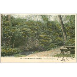 carte postale ancienne 51 SAINT-MARTIN-D'ABLOIS. Source du Sourdon 1905
