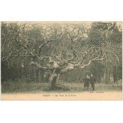 carte postale ancienne 51 VERZY. Un Faux de la Forêt personnages 1916