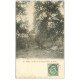carte postale ancienne 51 VERZY. Un faux de la Forêt. La Chaire du Curé 1907