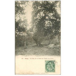 carte postale ancienne 51 VERZY. Un faux de la Forêt. La Chaire du Curé 1907
