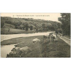 carte postale ancienne 42 FEURS. Bergère et Vaches bords de Loire