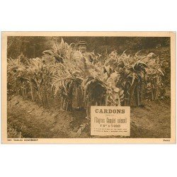 carte postale ancienne 42 ROANNE. Cardons Engrais Complet intensif. Personnage dans les cultures