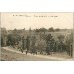 carte postale ancienne 42 SAINT-JODARD. Route de Pinay le Petit Ponr