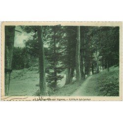 carte postale ancienne 43 LE CHAMBON-SUR-LIGNON. Allée du Bois Lambert 1932