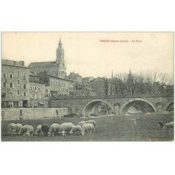 43 TENCE. Le Pont et troupeau de Moutons