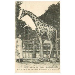 PARIS 05. Jardin des Plantes. Girafe