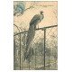 PARIS 05. Jardin des Plantes. Le Paon 1907