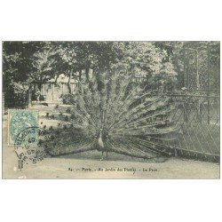 PARIS 05. Jardin des Plantes. Le Paon faisant la roue 1907
