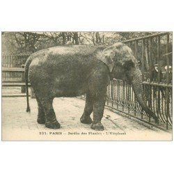 PARIS 05. Jardin des Plantes. L'Eléphant