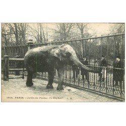 PARIS 05. Jardin des Plantes. Un Eléphant