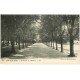 carte postale ancienne 10 BAR-SUR-AUBE. Promenade de Mathaux