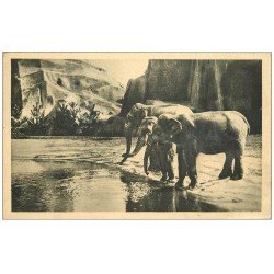PARIS 12. Bois Vincennes. Eléphants au Zoo
