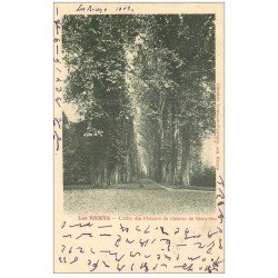 carte postale ancienne 10 LES RICEYS. Allée des Platanes du Château de Ricey-Bas 1902. Ecriture spéciale...