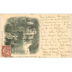 carte postale ancienne 10 LES RICEYS. Château de Ricey-Bas 1902 Cascade