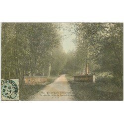carte postale ancienne 02 CHATEAU-THIERRY. Bois de Saint-Martin 1905